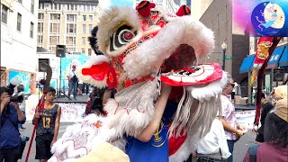 2023 Boston Chinese Freemasons 醒獅表演 Lion Dance Parade August Moon Festival Street Performance Event