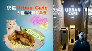 [VLOG]試食Urban Cafe!竟然能與貓咪遊玩?#Vlog 3 #Urban Cafe