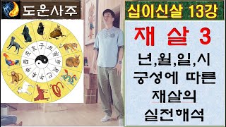 십이신살 13강_재살 3_년월일시 궁성에 따른 재살의 실전해석