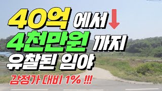 40억에서 4천만원 까지 유찰된 임야 (감정가대비 1%대)