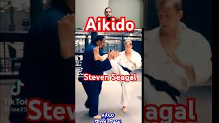 Steven Seagal Aikido master amazing skills martial arts hapkido jiujitsu judo Kung Fu wushu karate