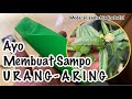 Tutorial Sederhana Memperbanyak Sampo-mu dengan Urang Aring #Tanaman #Gulma