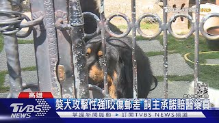 郵差送信遭「獒犬」迎面撲！咬壞衣服 胸部.手臂留齒痕｜TVBS新聞