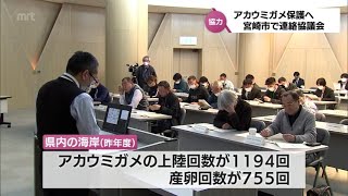 アカウミガメの保護へ　宮崎市で行政や関係団体による連絡協議会