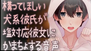 【女性向け】構ってほしい犬系彼氏が塩対応彼女にかまちょする音声【シチュエーションボイス】