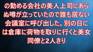 【総集編・生朗読】俺の勤める会社の美人上司にあらぬ噂が立っていたので誰も居ない会議室に呼び出した。別の日には倉庫に荷物を取りに行くと美女同僚と2人きり   　感動する話　いい話　泣ける話