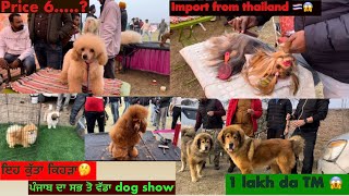 DOG SHOW 🐕‍🦺| ਭੇਡ ਵਰਗਾ ਕੁੱਤਾ 😂😱 | 2000 to 1 lakh da kutta 😱 | @Sarpanch_vlogz #dog #doglover