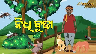 NIDHI BUDHA | Nana Baiya |