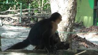 Costa_Rica_05_Besuch_Naturpark_1.mp4