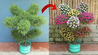 Creative flower garden, beautiful plastic bottle garden ideas for the garden