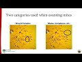 assessing the quality of predatory mites for augmentative biological controlling in ca strawberries