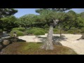 4k ・由志園・紫陽花（アジサイ）と園内散策（hydrangeas：yuushien garden）日本庭園・最大級超高画質