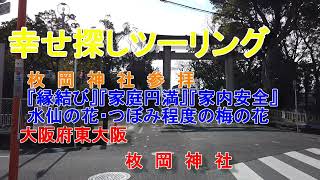 「枚岡神社」参拝　大阪府東大阪市『縁結び』『家庭円満』『家内安全』水仙の花・つぼみ程度の梅の花　春を探しに　幸せ探しパワースポットツーリング