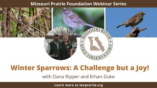 Winter Sparrows–A Challenge but a Joy! with Ethan Duke \u0026 Dana Ripper