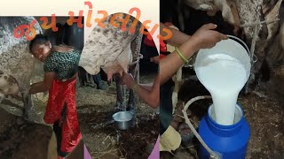 ગાયને હાથથી દૂધ આપવું // 🐄 COW milkingby hand #gujaratvillagelife