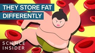 How Sumo Wrestlers Stay Healthy On 7,000 Calories A Day
