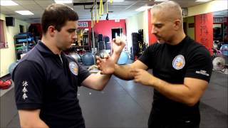 Weapons of Wing Chun  - BONG SAU / WING ARM