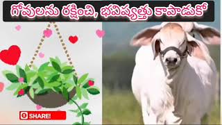 బిడ్డా,నువ్వు నుంచున్న చెట్టు కొమ్మని నరుకుతున్నావ్ పడితే నేనుతట్టుకోలేను. #SaveCows #ProtectGomata