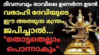 ദിവസവും രാവിലെ ഉണർന്ന ഉടൻ വരാഹി ദേവിയുടെ ഈ 1 മന്ത്രം ജപിച്ചാൽ... തൊട്ടതെല്ലാം പൊന്നാകും!! #varahi