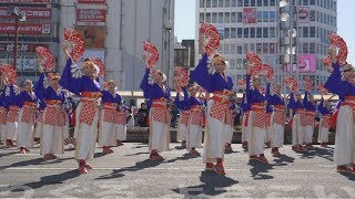 第22回よさこい東海道 りぐる「夢 万華鏡」