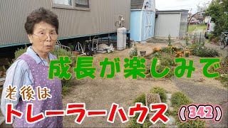 大好きな畑の野菜たちが大きく【老後トレーラーハウス生活】342