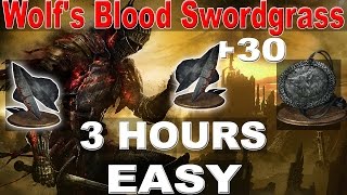 Dark Souls 3 - Watchdogs of Farron Covenant | Farming 3 Hours+ EASY | ( Wolf's Blood Swordgrass  )