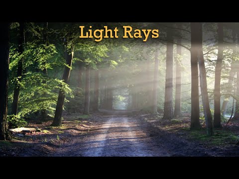 What is a bundle of light rays called?