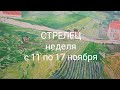 СТРЕЛЕЦ неделя с 11 по 17 ноября 2024 года