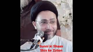 Sunni ki Shaan Shia ke Zuban ll Sunni Vs Shia Vs Wahabi