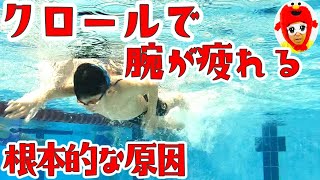 【水泳初心者向け】クロールで腕が疲れる根本的な原因