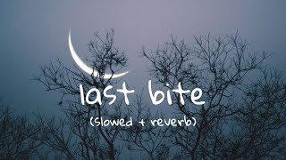 Blair Lee - Last Bite (slowed + reverb)