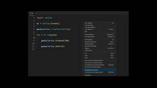 Octagonal shape | Python