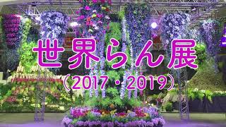 世界らん展 2017,2019【洋蘭展】Japan Grand Prix International Orchid and Flower Show  in Tokyo Dome.