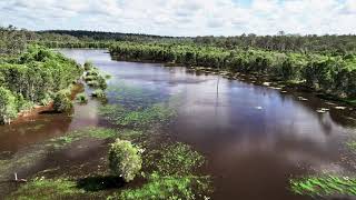 Wongi Waterholes and Wongi State Forest, Queensland