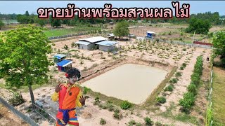 🪴บ้านพร้อมสวนผลไม้3ไร่🌴 หนองหญ้าไซ สุพรรณบุรี​ ปลูกผลไม้ไว้เต็มพื้นที่🎉🎉 1.75ล้าน