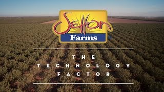 Setton Farms Segment 6 - Technology Factor