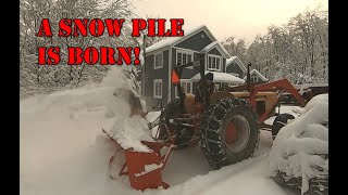 #188 A Snow Pile Is Born