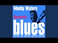 Walking Blues