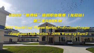 【2022“世界杯”龙冠站】宁夏龙冠俱乐部站信鸽职业联赛，第二关500KM