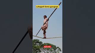 Lohagarh farms gurugram #shorts