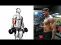 5 best long head biceps exercises for maximum peak 💪