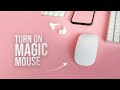 How to Turn On a Magic Mouse (tutorial)