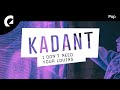 Kadant feat. Frigga - Feline