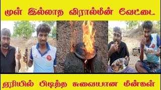 ஓடை தண்ணீரில் விரால் மீன் வேட்டை வேற லெவல் டேஸ்ட்| Wild fish hunting  different level of taste