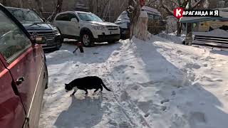 Какое было радио в СССР Пешая прогулка по Караганде