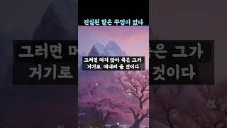 노자 (老子) 명언/ 진실된 말은 꾸밈이 없다.