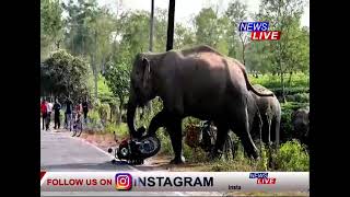 নুমলীগড়ৰ মৰঙীত হাতীয়ে মহটিয়ালে বাইক