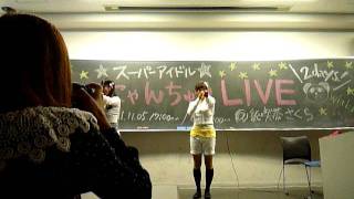 にゃんちゅう銀杏祭　2011.11.6_2