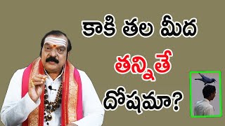 కాకి తల మీద తన్నితే దోషమా? | Kaki Tala Meeda Tannite | Machiraju Venugopal Dharma Sandehalu