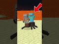 Cuma 1 Dari 40,000 Orang yg Bisa Nemu Hal Langka ini di Minecraft!